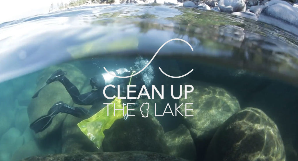 Clean Up the Lake